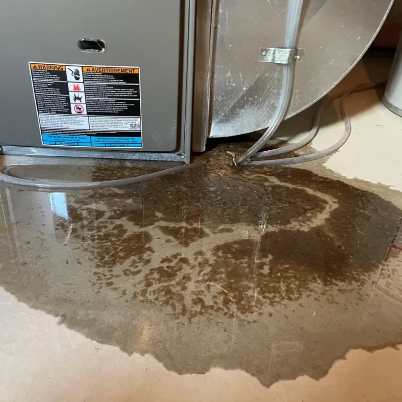 Appliance Leak Cleanup in Kula, HI